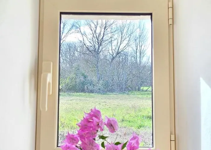 Petit De Calvet * Sainte-Croix (Lot)